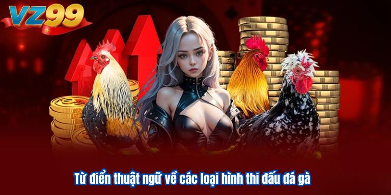 Thuật Ngữ Đá Gà VZ99 – Giải Nghĩa Chi Tiết Cho Anh Em 4 Từ điển thuật ngữ về các loại hình thi đấu đá gà